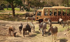 Bali Safari and Marine Park