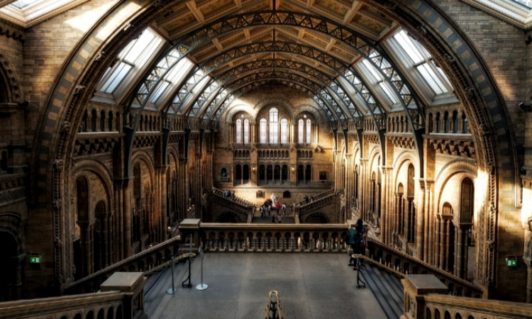 Museum Perjuangan Indramayu Museum Perjuangan Indramayu