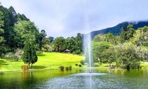 kebun raya cibodas