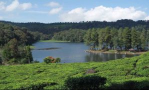 situ patenggang ciwidey situ patenggang ciwidey