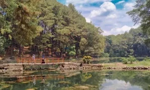 telaga remis telaga remis