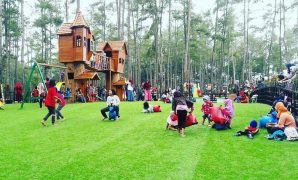 Kemit Forest Cilacap