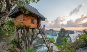 rumah pohon bali rumah pohon bali