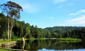 situ gede hutan pinus bogor