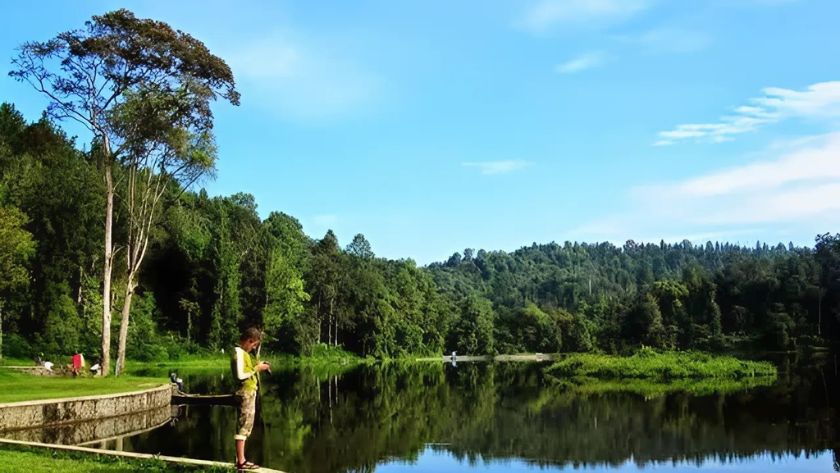 situ gede hutan pinus bogor