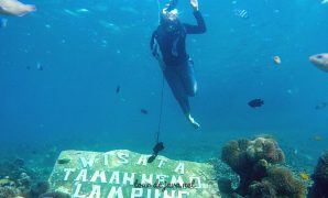 snorkeling pulau pahawang