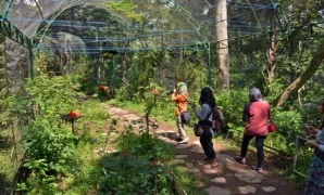 taman kupu kupu gita persada