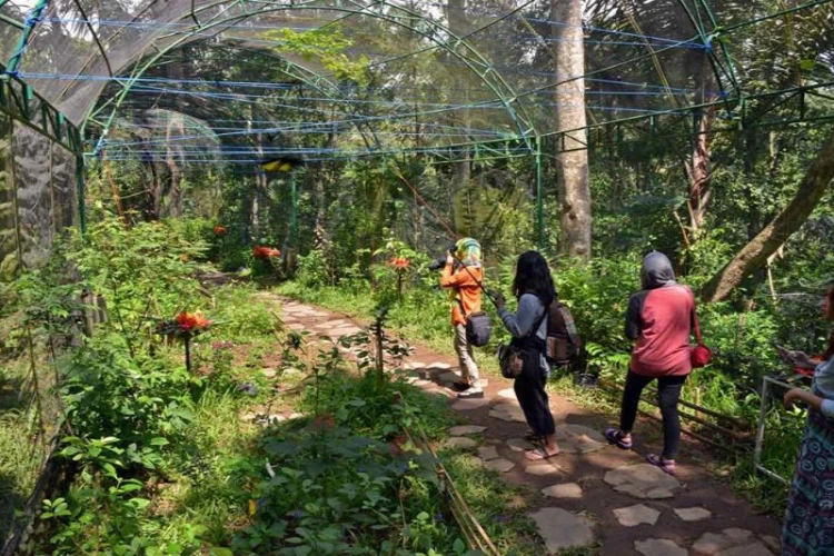 taman kupu kupu gita persada