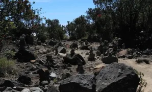 Pasar Setan Dieng Pasar Setan Dieng