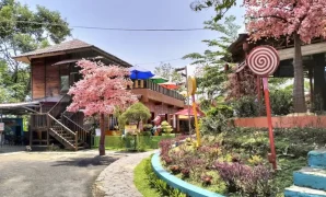 bukit sakura lampung