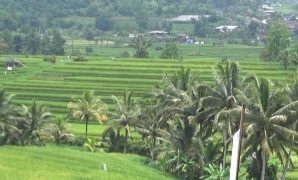 ekspedisi subak ekspedisi subak