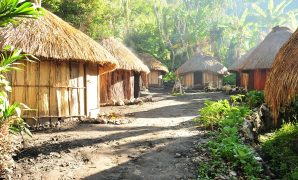 honai papua honai papua