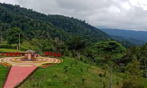 perkebunan liwa perkebunan liwa