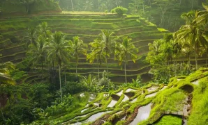 wisata alam bali wisata alam bali