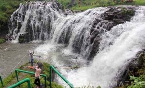 Air Terjun Bertingkat di Tengah Perkebunan Kopi jawa timur