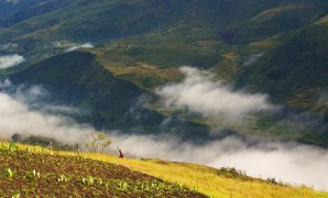 Menembus Kabut Lembah Baliem Menembus Kabut Lembah Baliem
