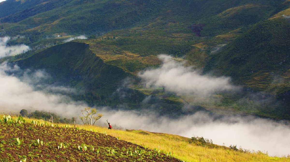 Menembus Kabut Lembah Baliem