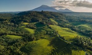 Menemukan Surga di Tengah Sawah Ubud Menemukan Surga di Tengah Sawah Ubud