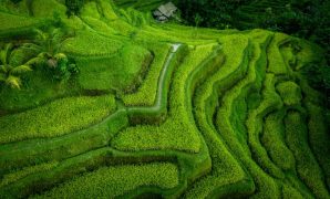 bali pakai drone bali pakai drone