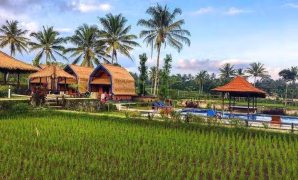 desa wisata tatebatu desa wisata tatebatu