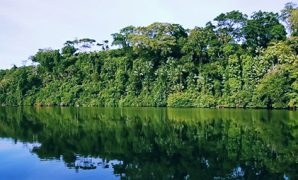 leuweng sancang leuweng sancang