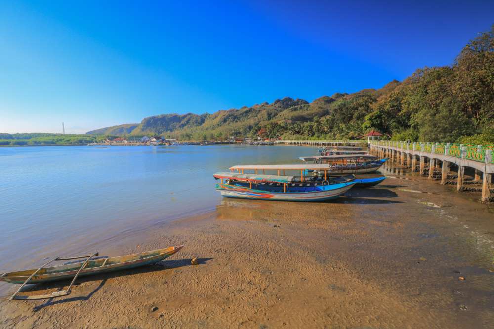 spot terbaik melihat cahaya laut