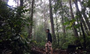 Berjalan Kaki di Gunung Rajabasa