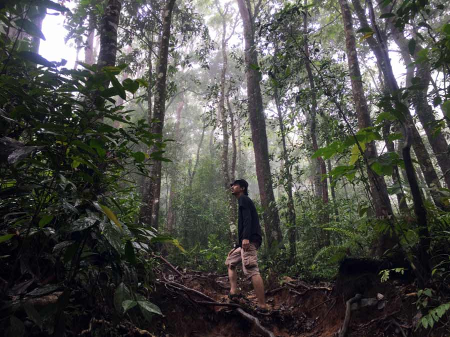 Berjalan Kaki di Gunung Rajabasa