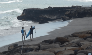 Menjelajahi Pantai Pasir Hitam Sukamade Bali