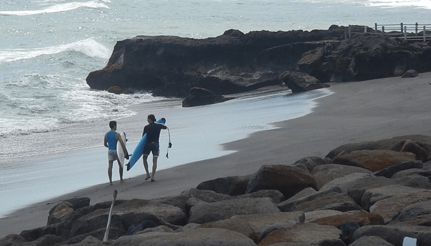 Menjelajahi Pantai Pasir Hitam Sukamade Bali